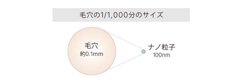 ヒト型セラミドを(出典: PR TIMES)