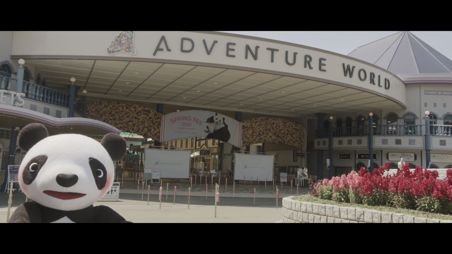 撮りおろし映像「パンダの半日」より