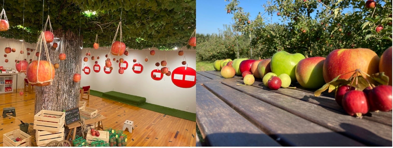 左）昨年の会場の様子 右）岩手県の「サンファーム」さんからりんごが届きます。