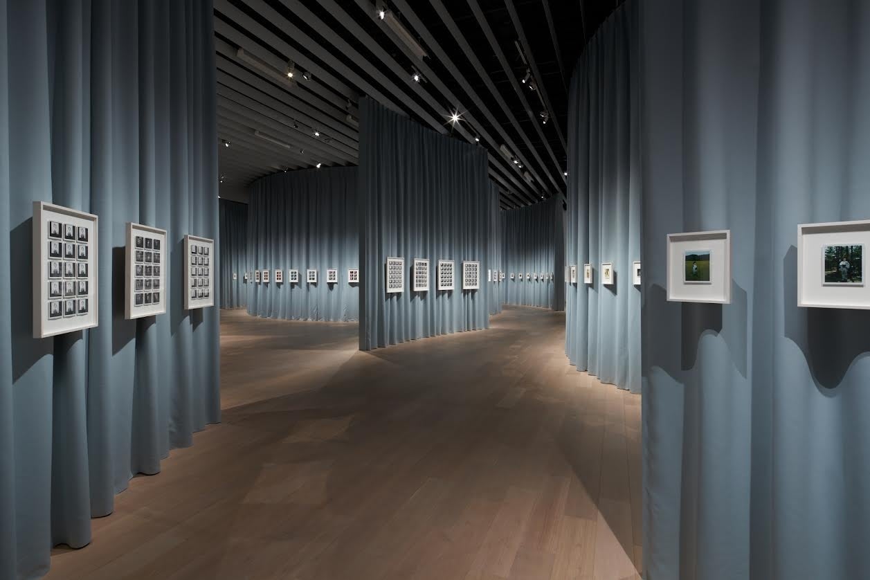 撮影：三吉史高