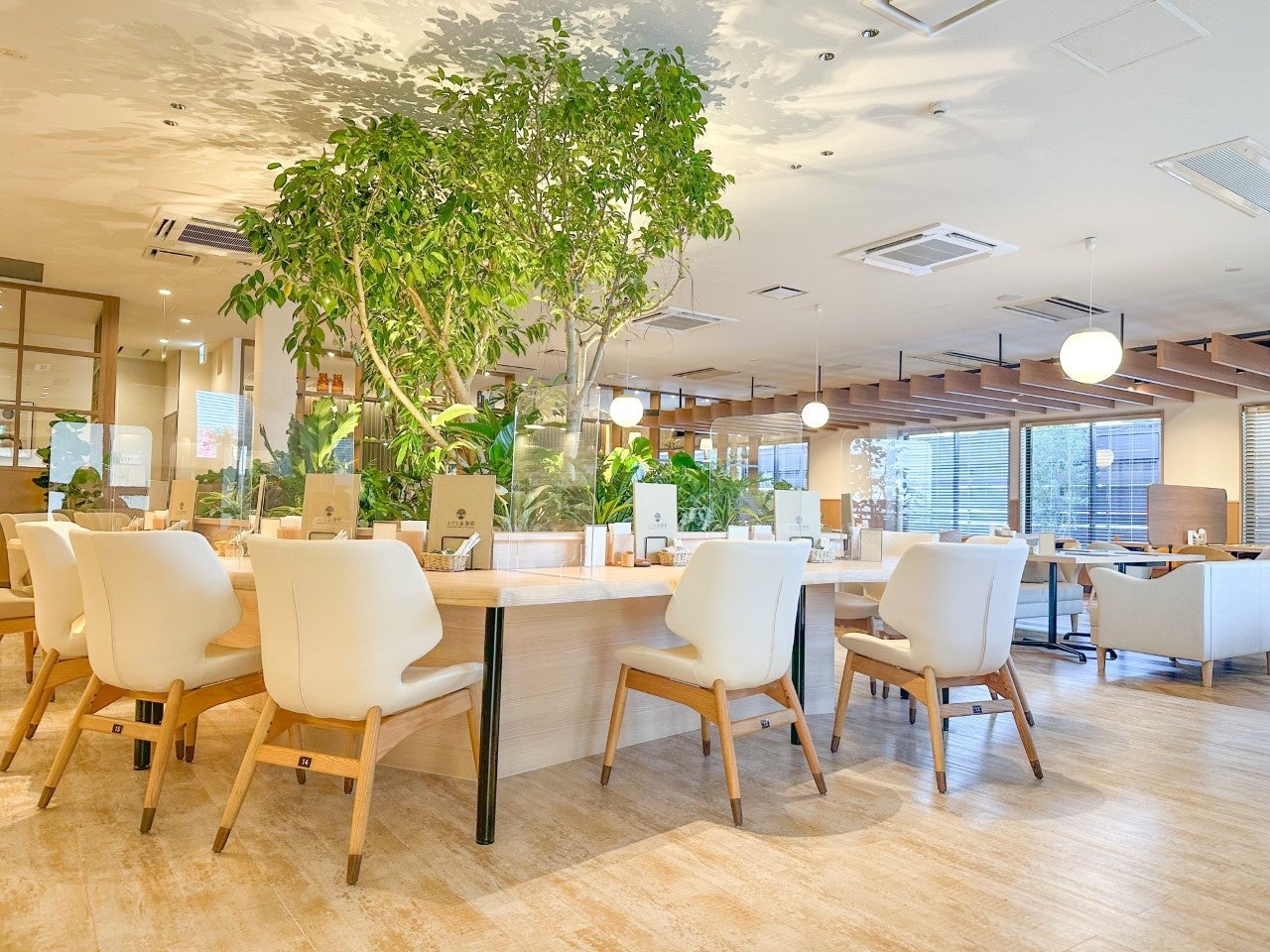 店舗内観_憩いの樹エリア