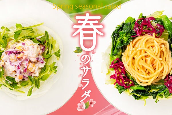 春サラダバナー①