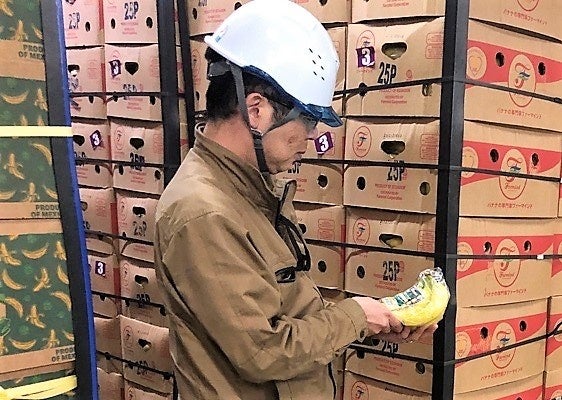 熟練技術者による定期チェック