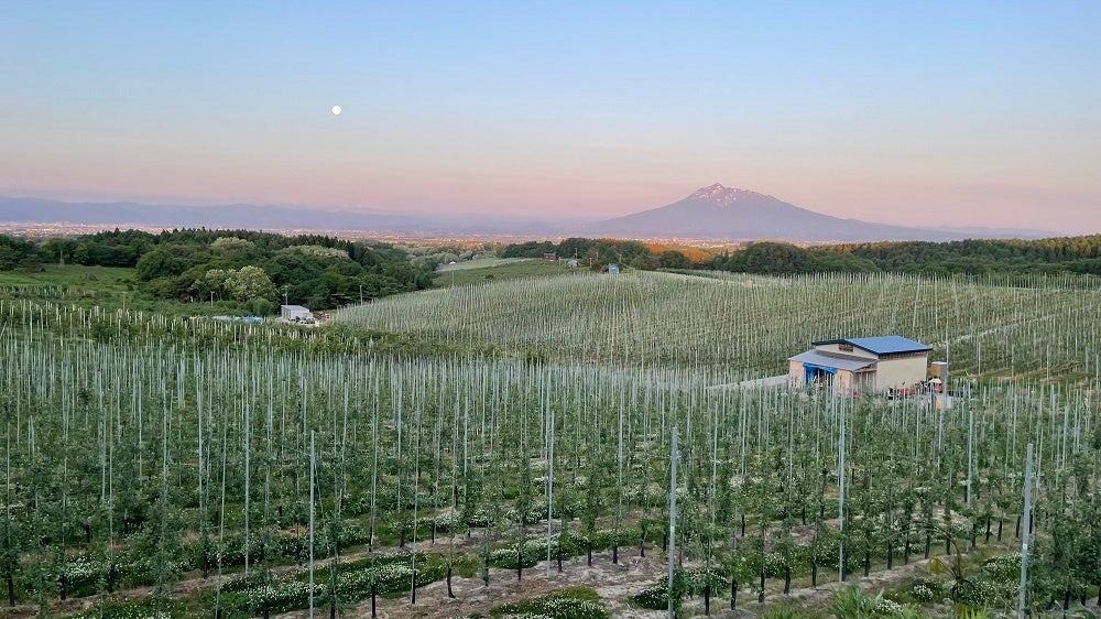 2021年4月の開園より、安定した収量を確保する青森市浪岡大字吉野田荷越沢