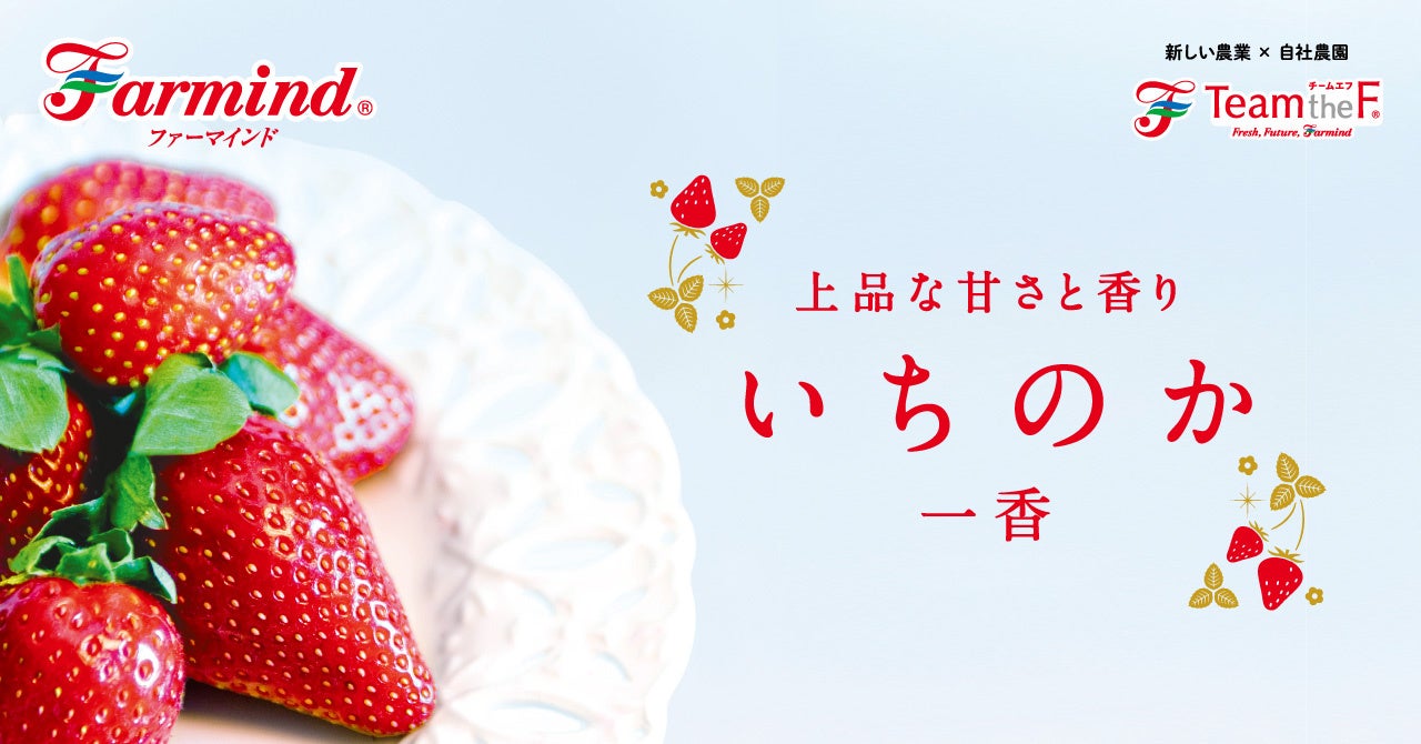 ファーマインドの自社生産いちご、香り豊かな「いちのか」2025年11月