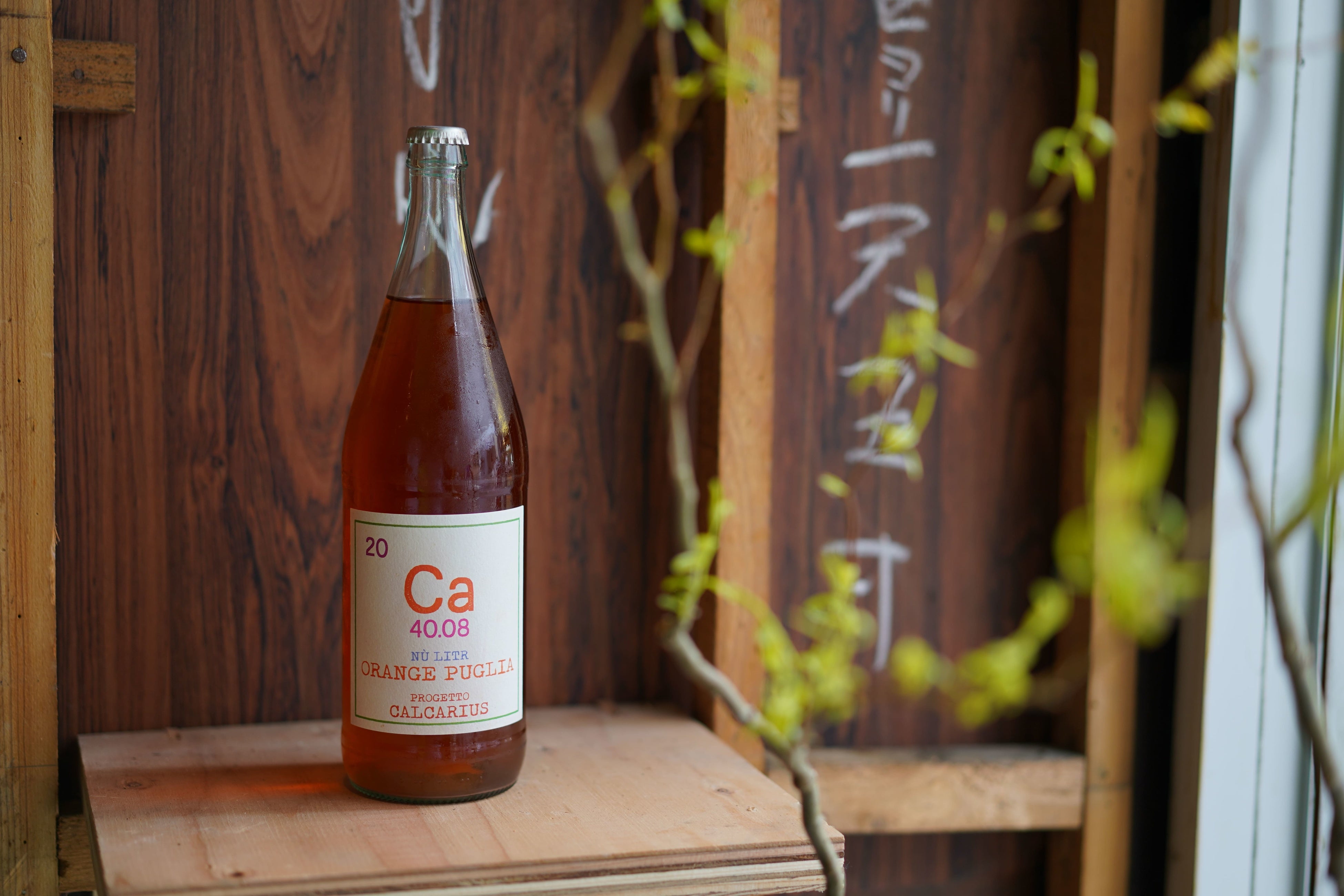 撮影：高田大河