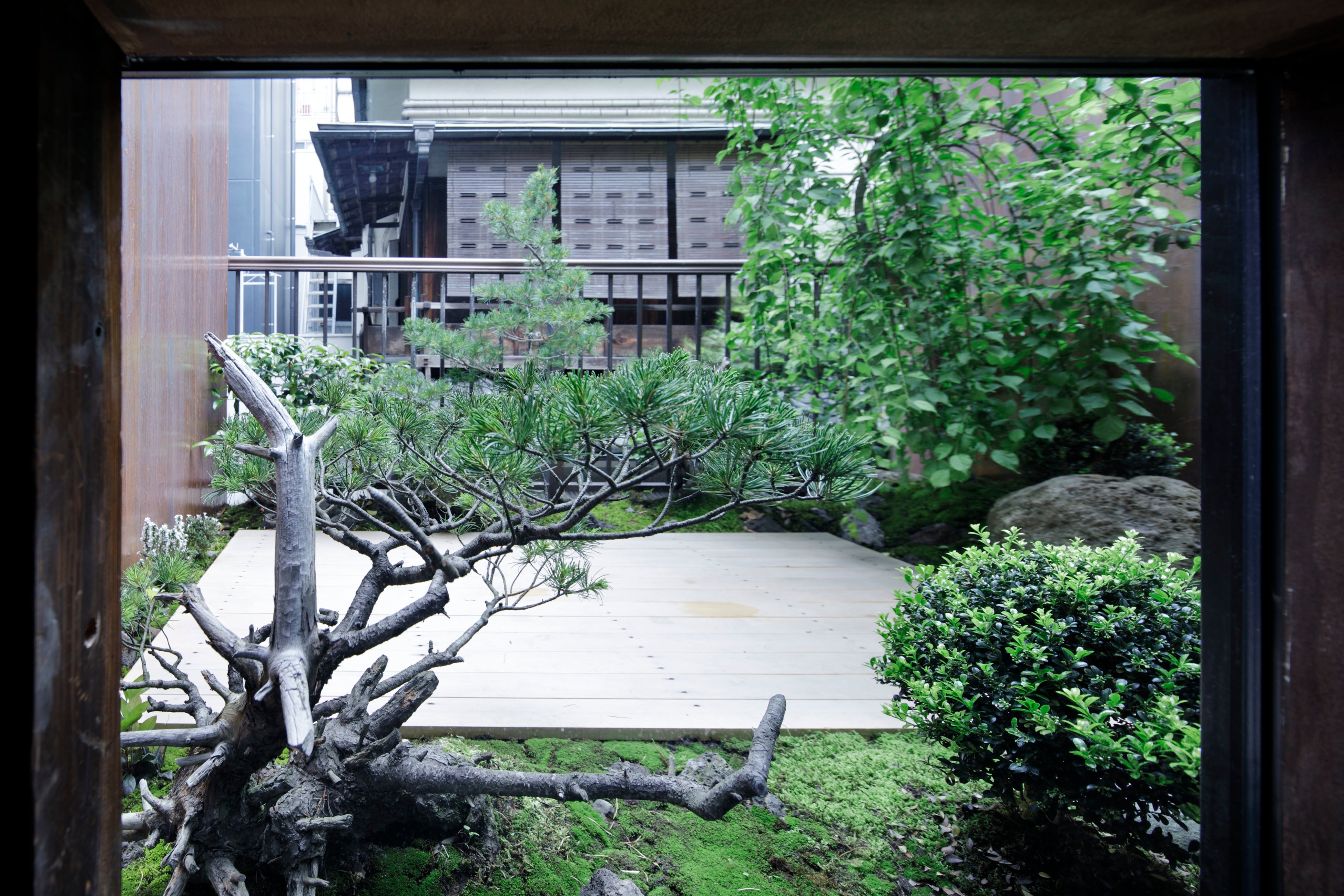 撮影：志摩大輔