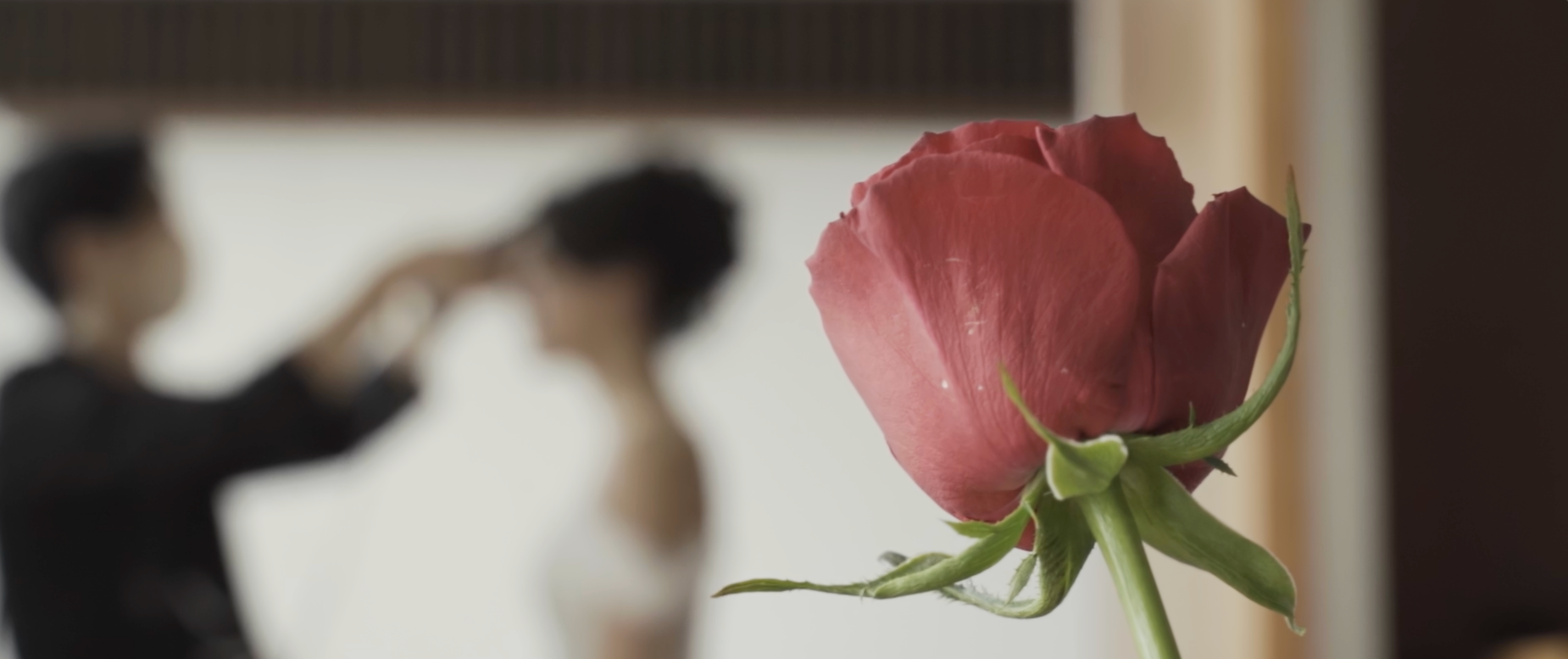 記録ビデオ映像のスクリーンショット画像