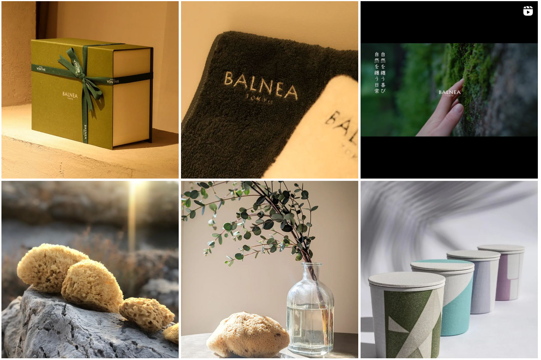 バルネアInstagramより