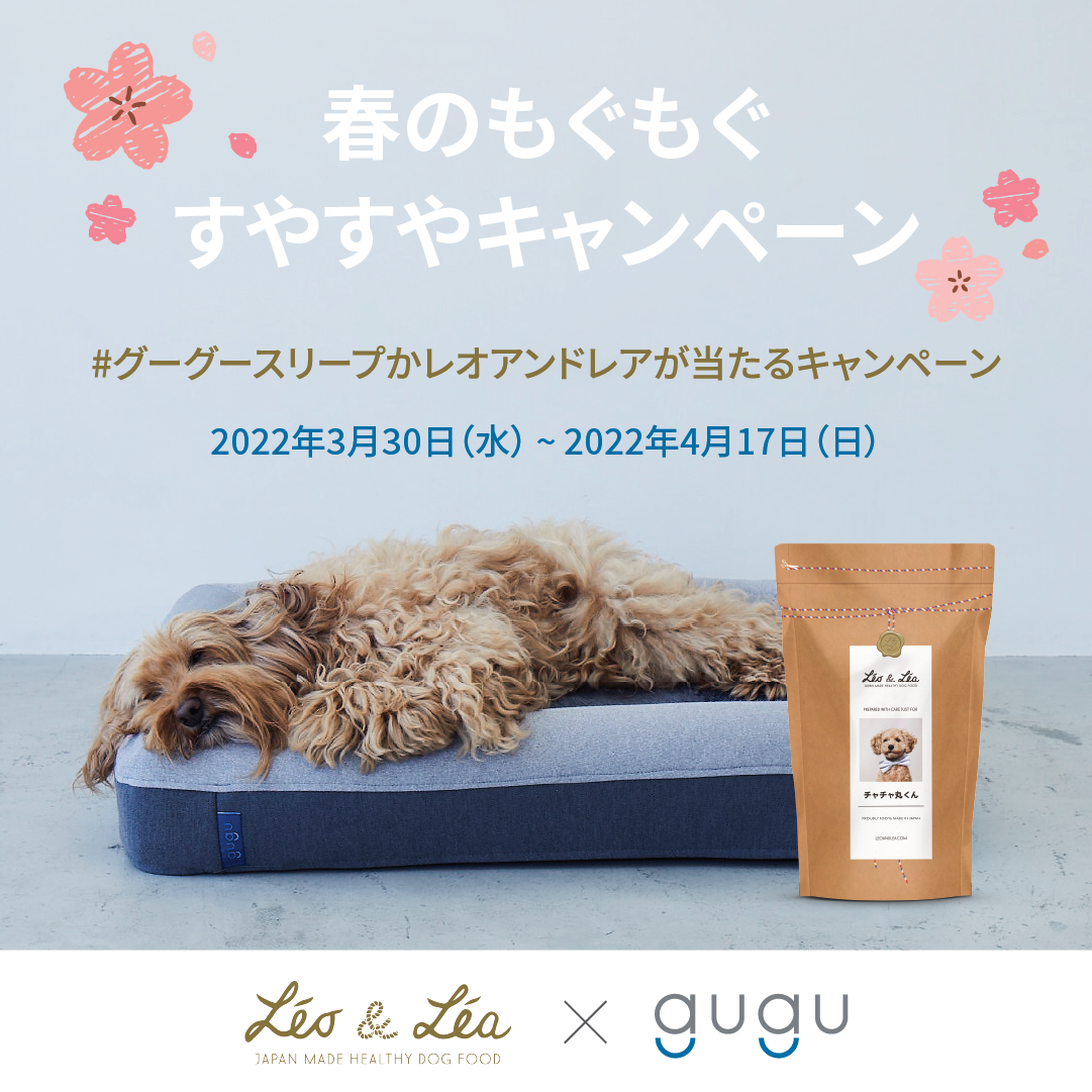 日本最大級のペットイベント インターペット に犬用ベッド Guguドギー が出展 株式会社グーグースリープのプレスリリース