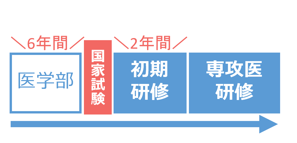 参考：医師になるまで・なった後の流れ