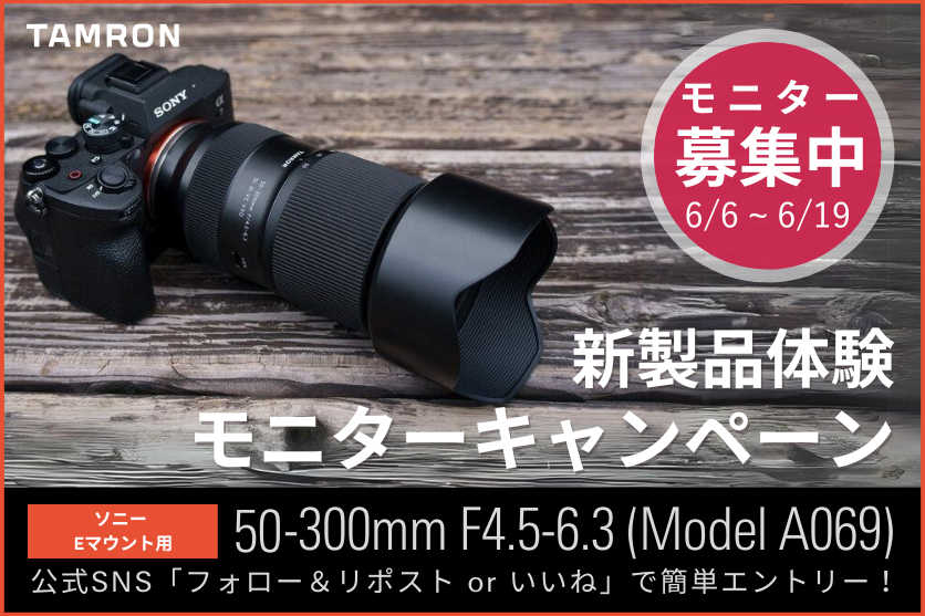 袋帯 美品 名品 六通 正絹 【中古】☆迫力の300mm超望遠☆SONY ソニー