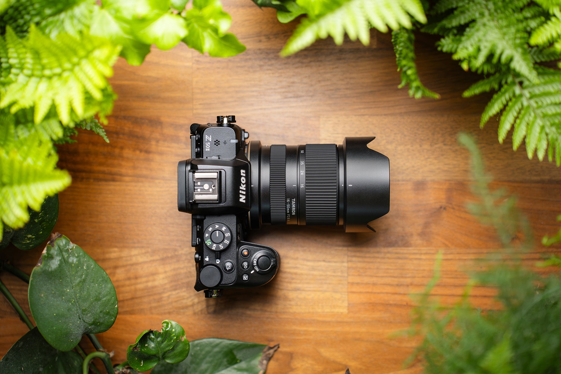 刀鍛冶職人の技と炎を撮る特別講座、写真教室「ニコン カレッジ」で申込開始!
