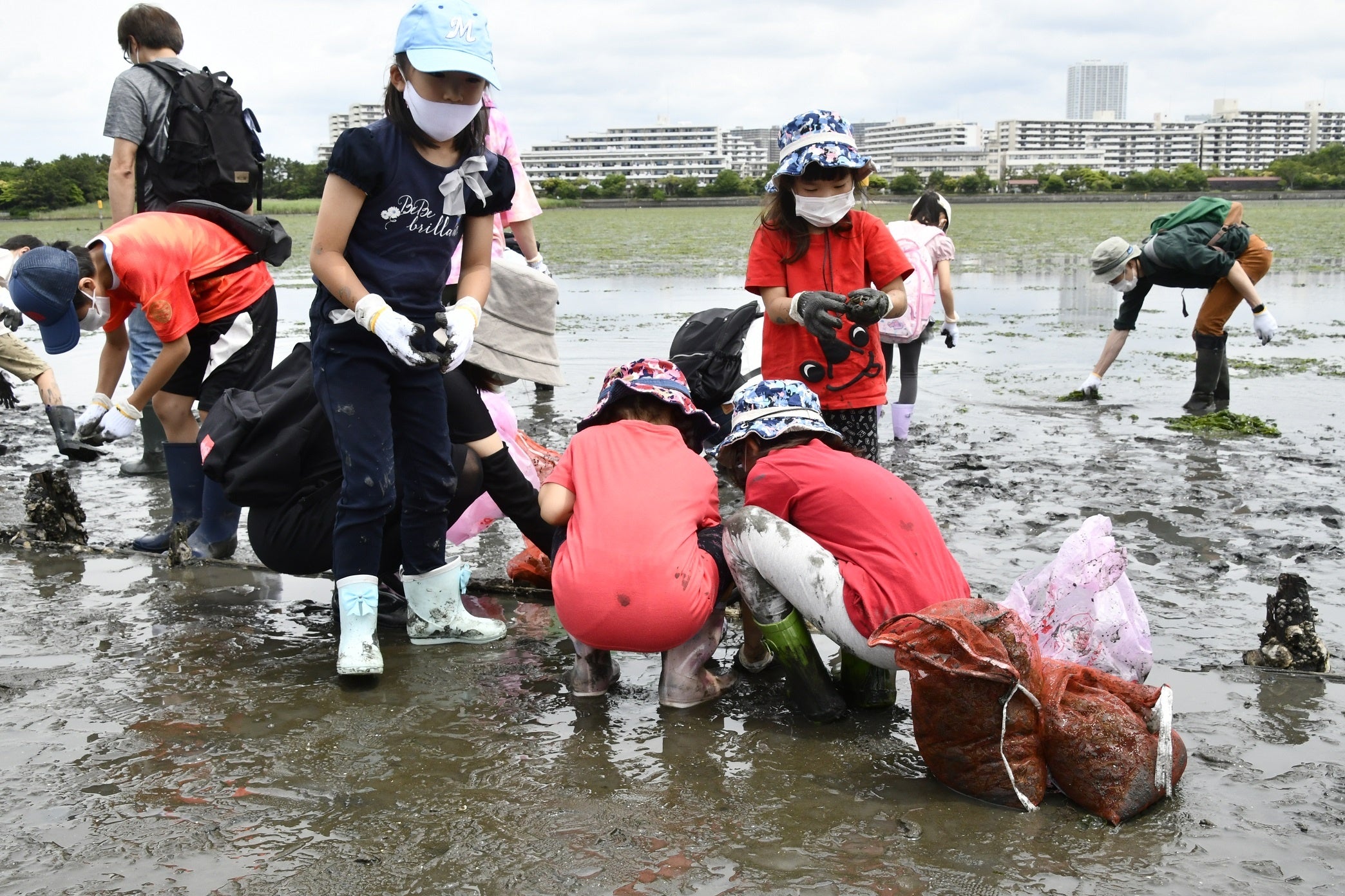 谷津干潟をキレイにしよう！
