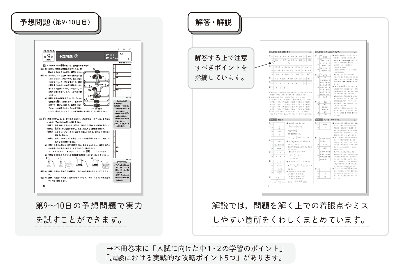 オール５家庭教師　長文読解マスタープログラム 高校受験 英語 対策　☆おまけ付き オール5家庭教師 長文読解マスタープログラム 高校受験 英語