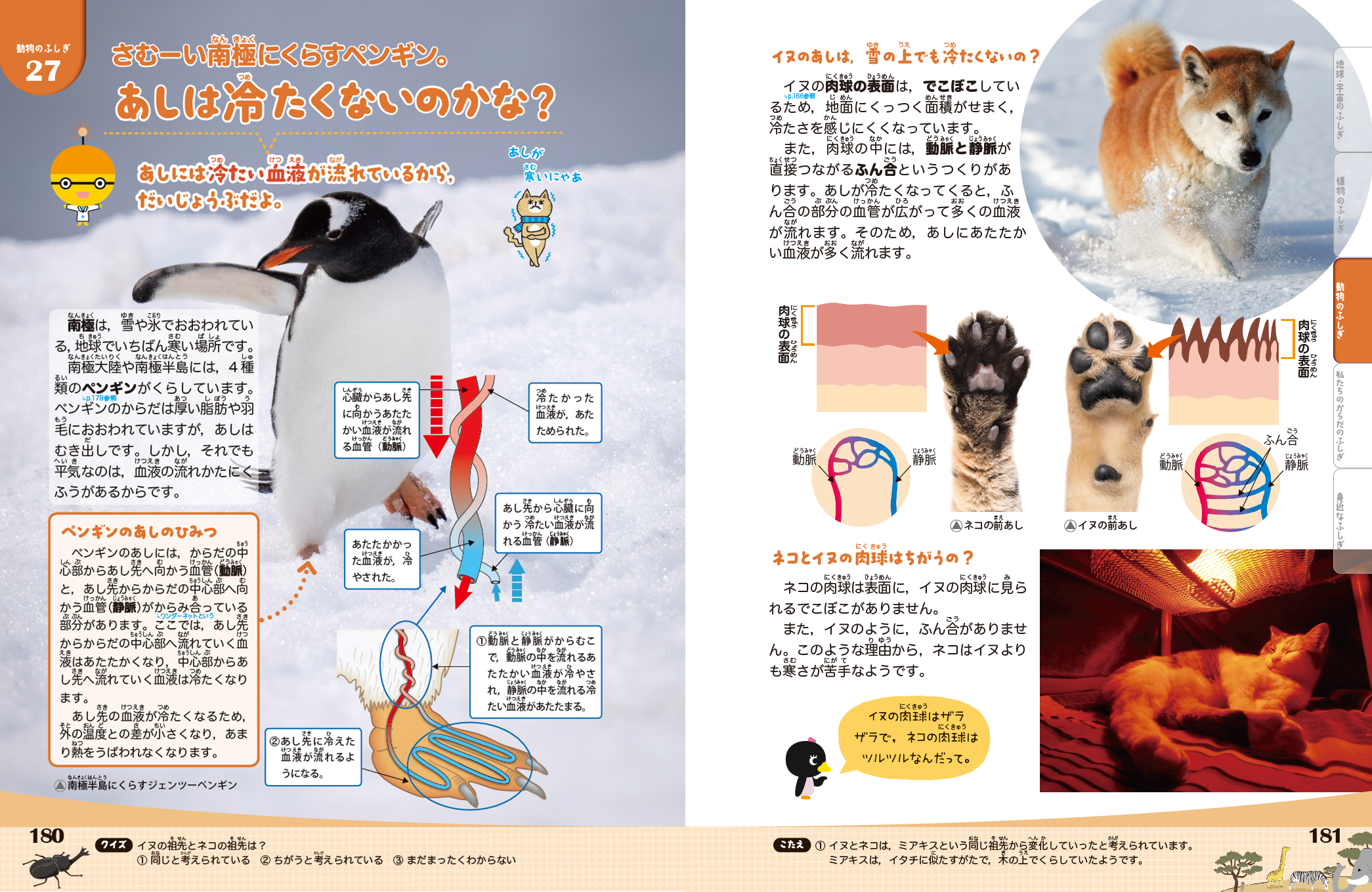 増進会句報 理系受験参考書 22冊セット 昭和62年 レトロ 増進