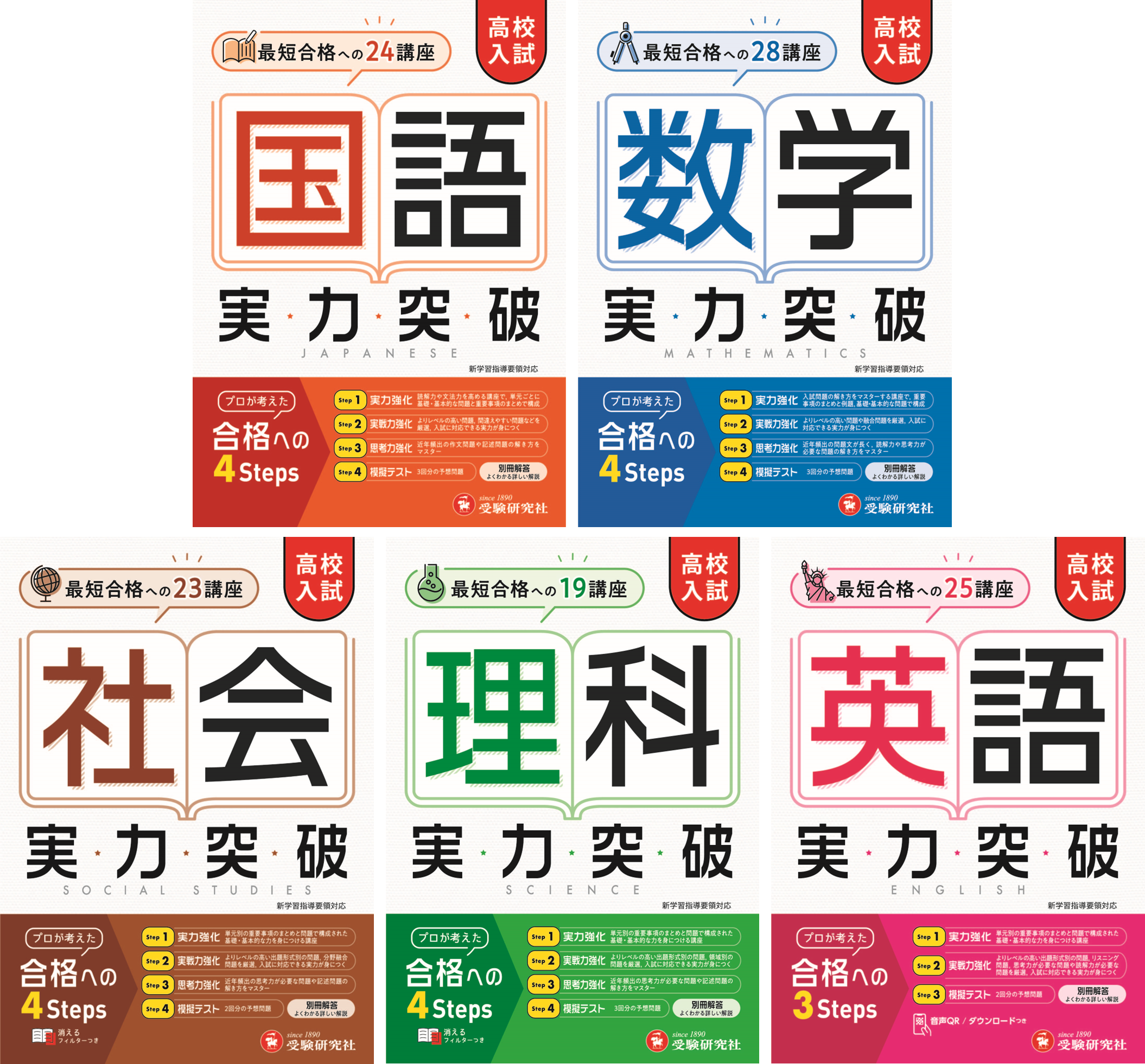 国語 難関高校入試対策 問題集 参考書 長文読解 同梱不可