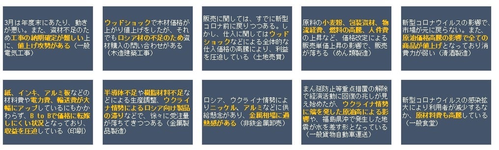原材料価格の上昇に関する企業の声（抜粋）