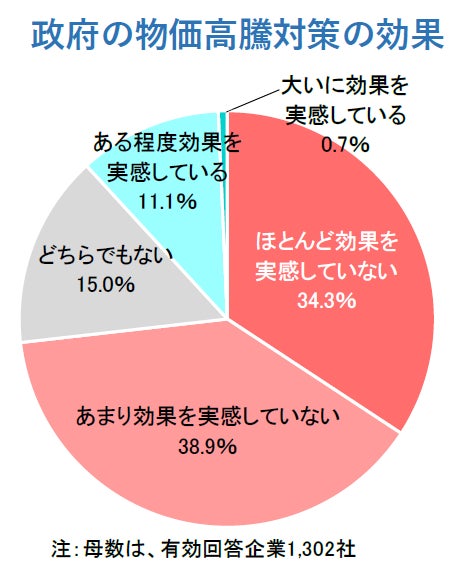 政府の物価高騰対策の効果