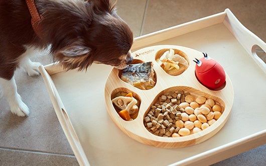 2,200円で内容をカスタマイズできるドッグプレート