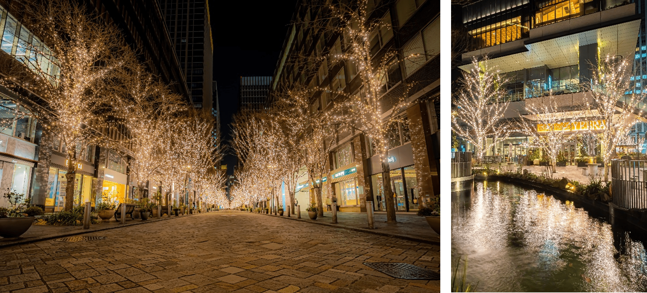 ▲昨年開催時の様子（左から丸の内仲通り、TOKYO TORCH Park）