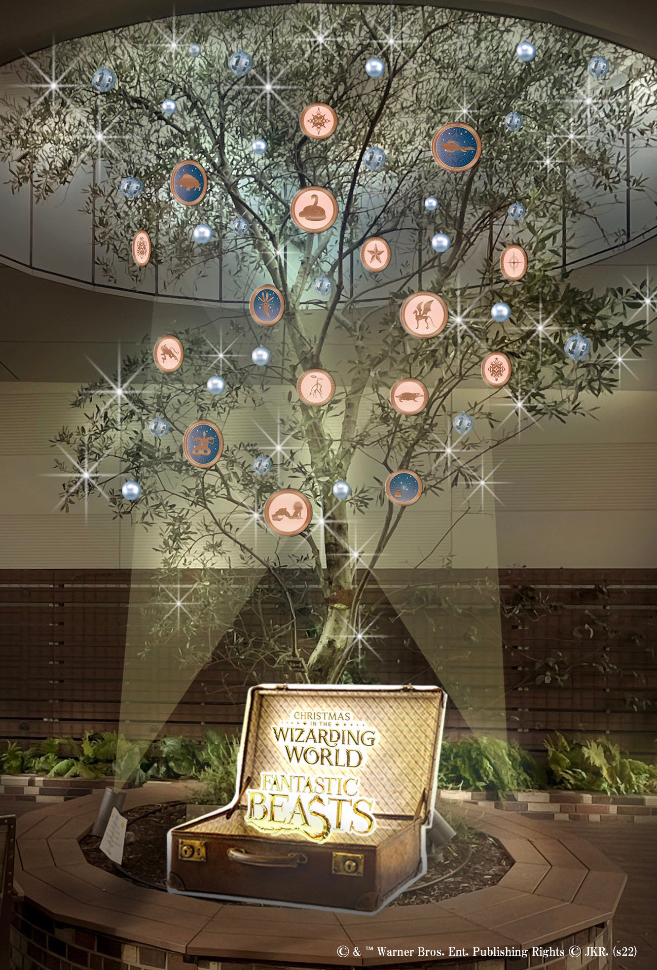 ※画像はイメージとなります。