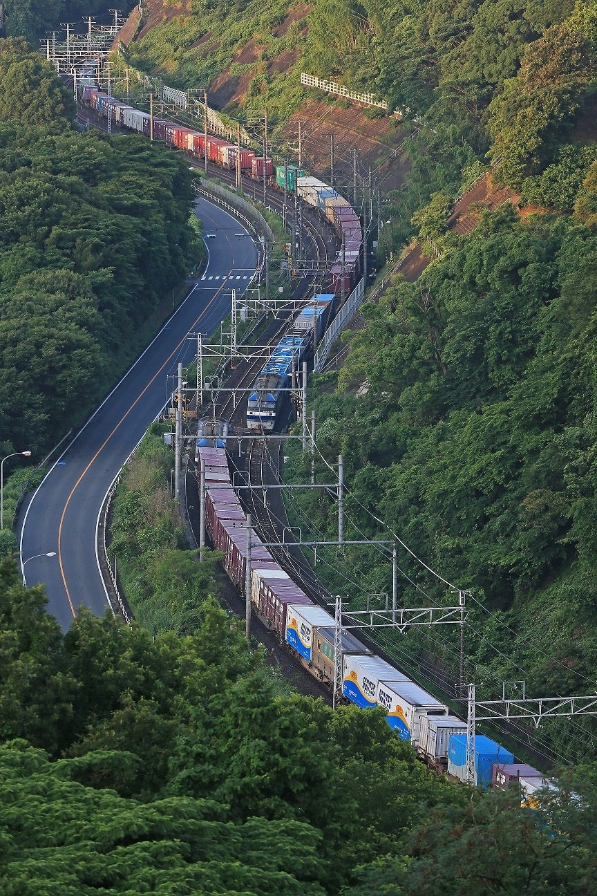 ちょっとだけ愛が重いダークエルフが異世界から追いかけてきた