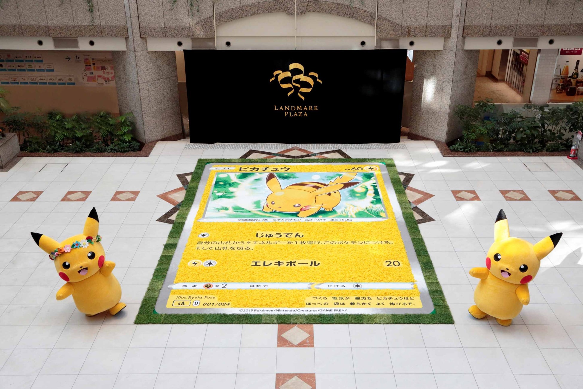 フラワーカーペットとピカチュウ