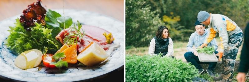 提供メニューイメージ（左）「食のFIELD WORK in 愛媛」時の様子（右）