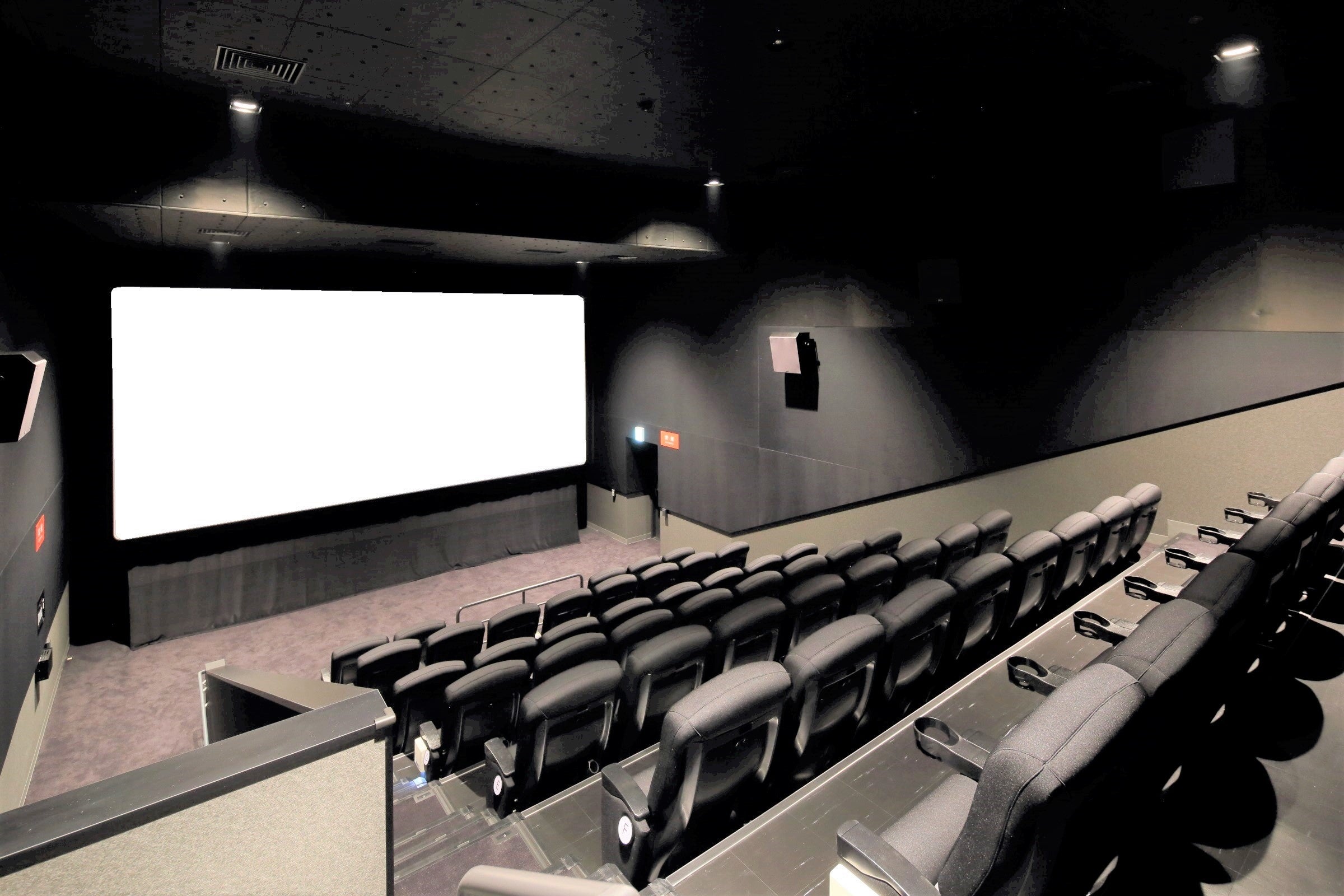 スクリーンイメージ