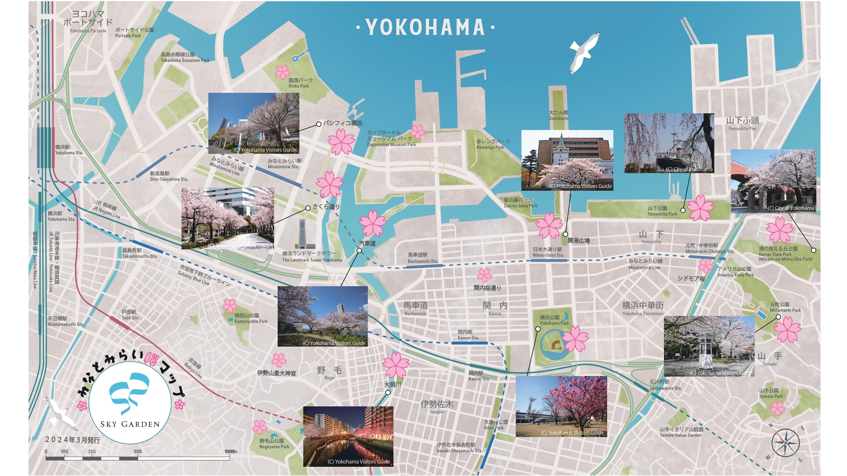 横浜の地上273mに桜のフォトスポットが登場！夜はライトアップされて