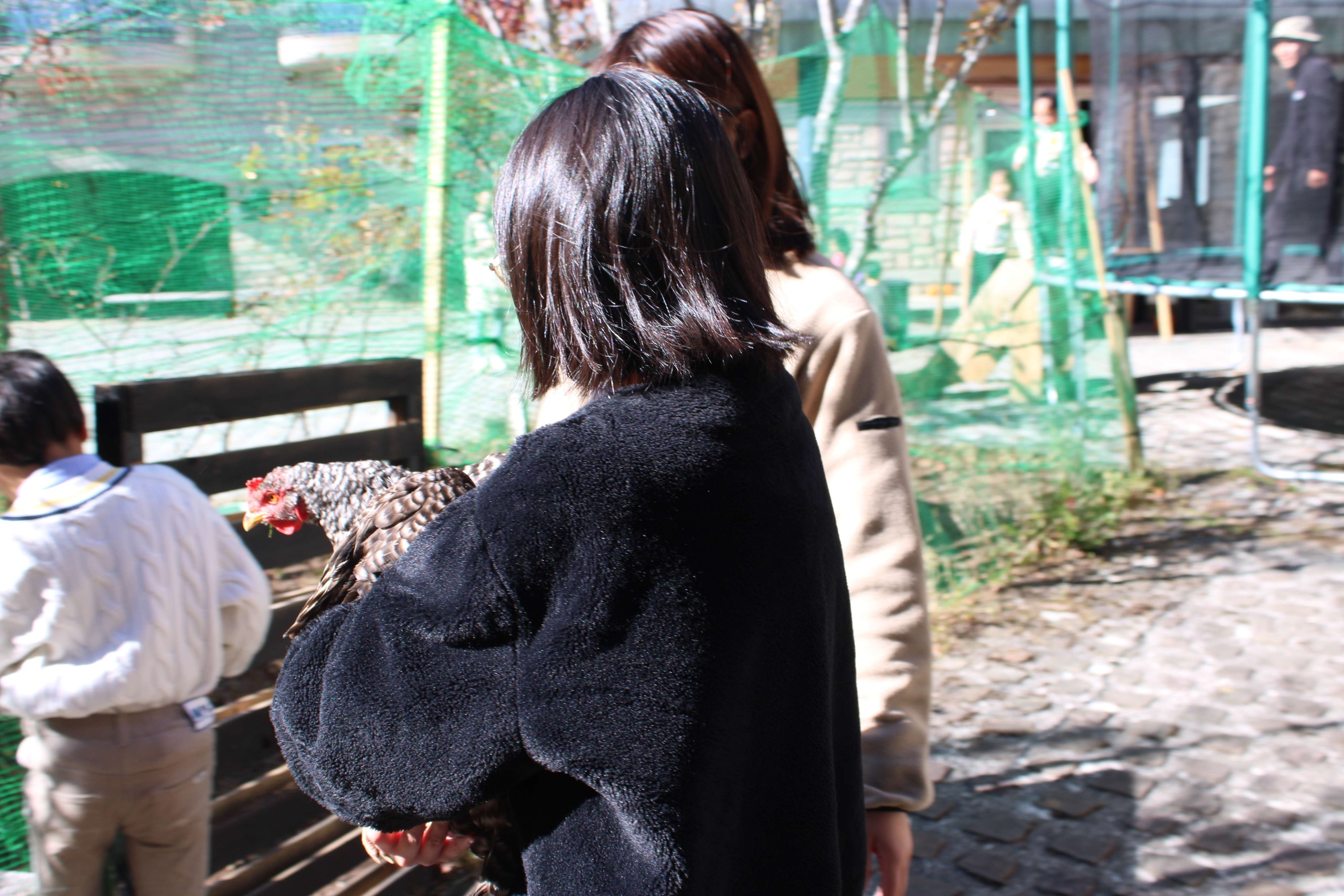 来場者がニワトリのふれ合い体験をしている様子