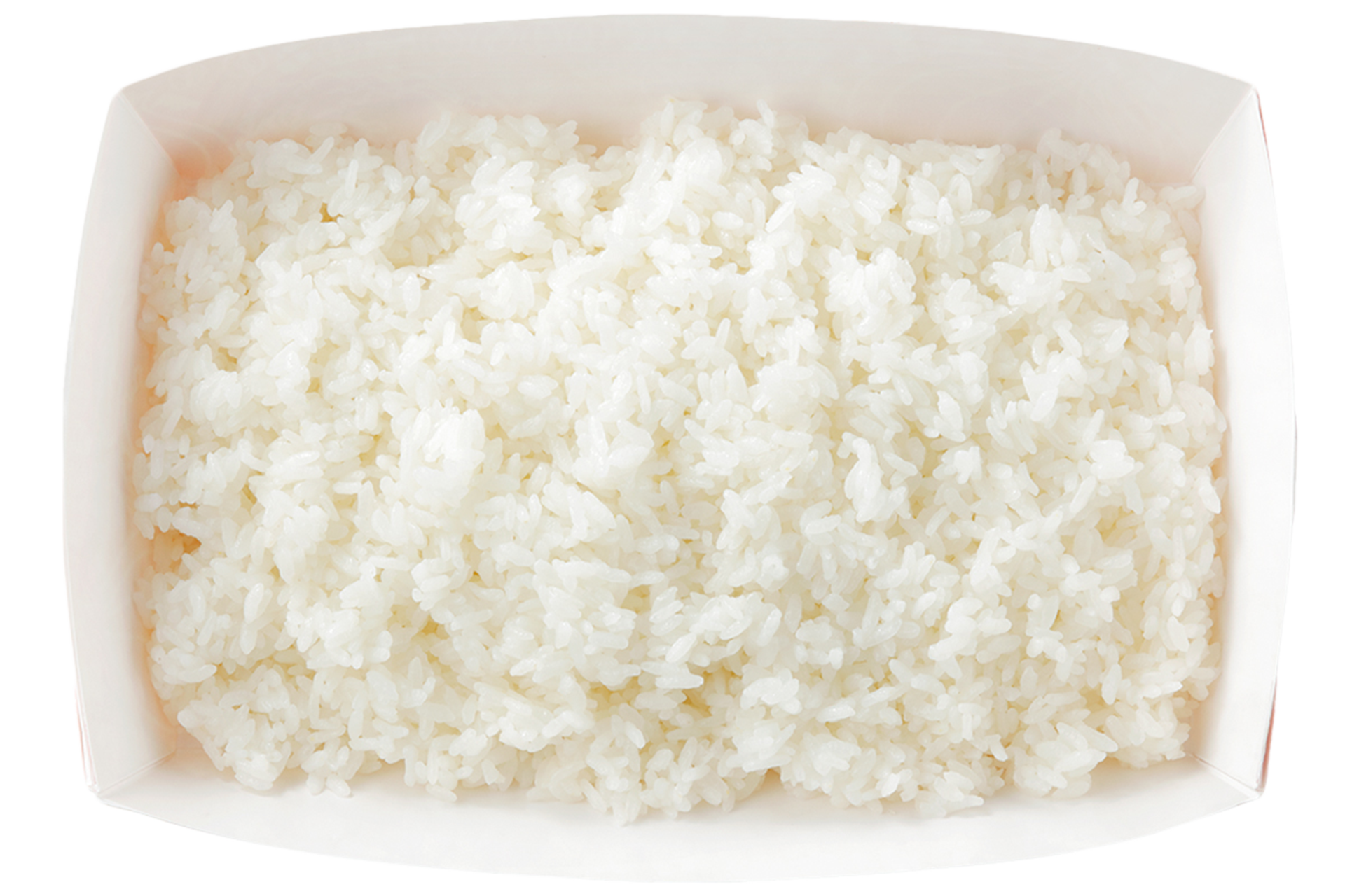 ガリバーライス