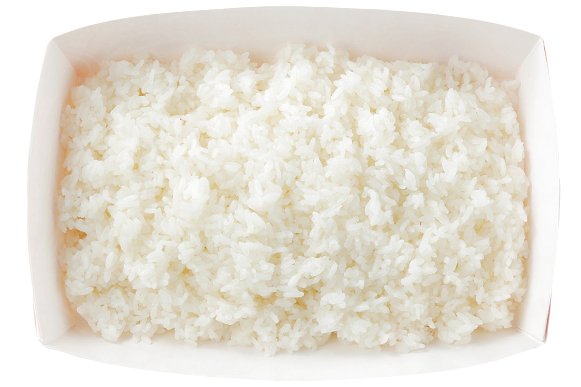 ガリバーライス