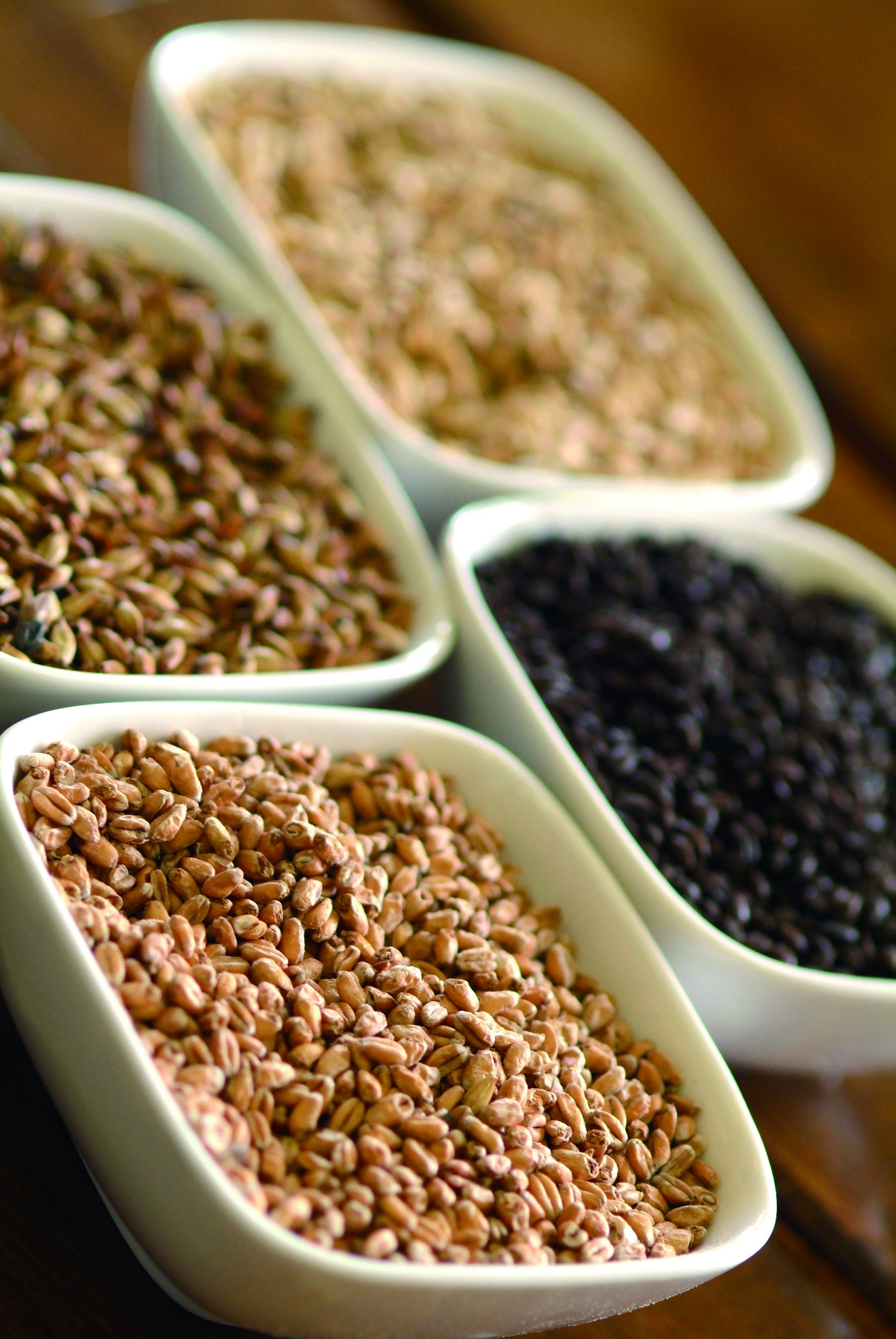 モルトなどの原材料