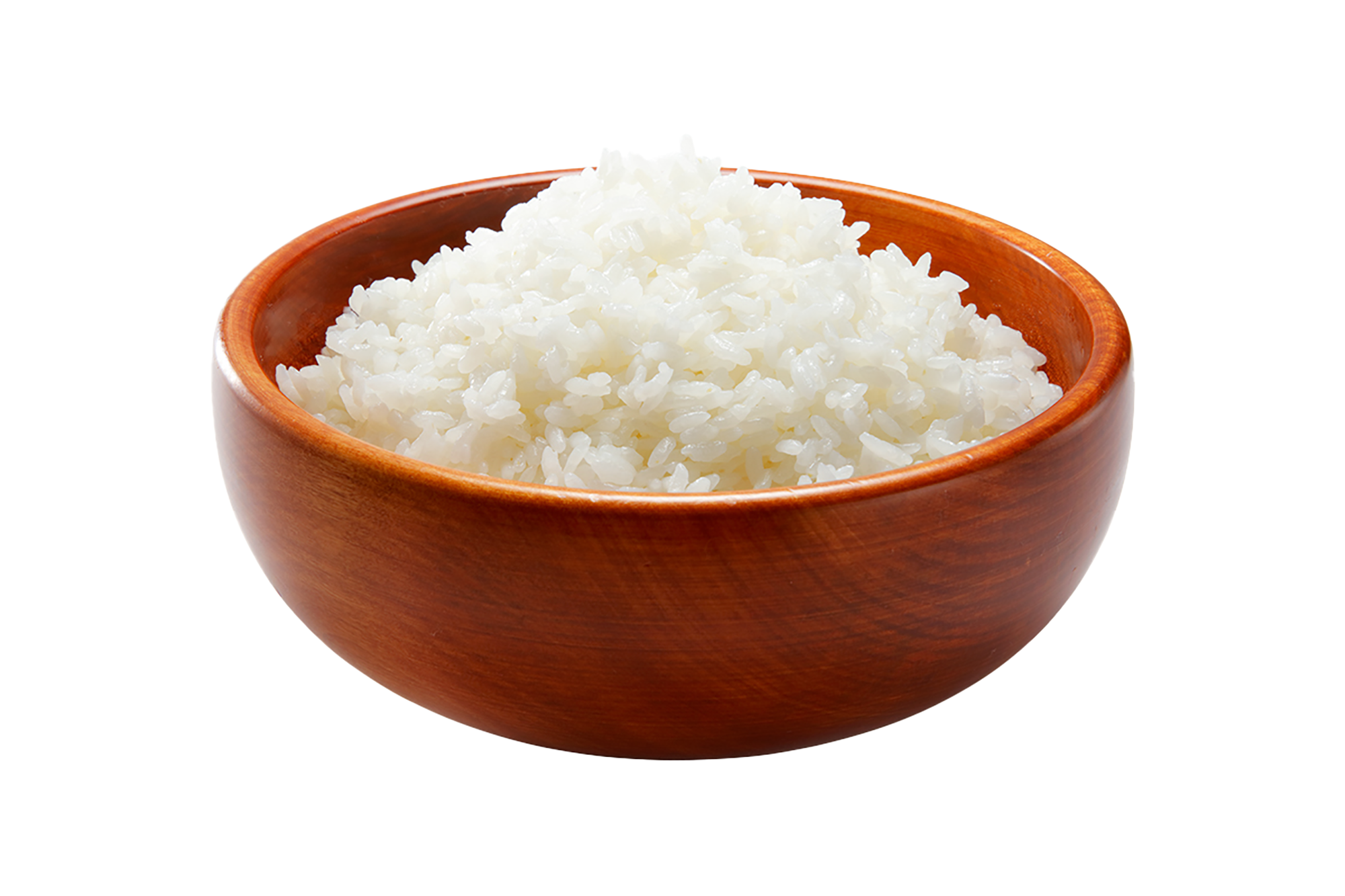 ガリバーバーグステーキ専用 ガリバーライス