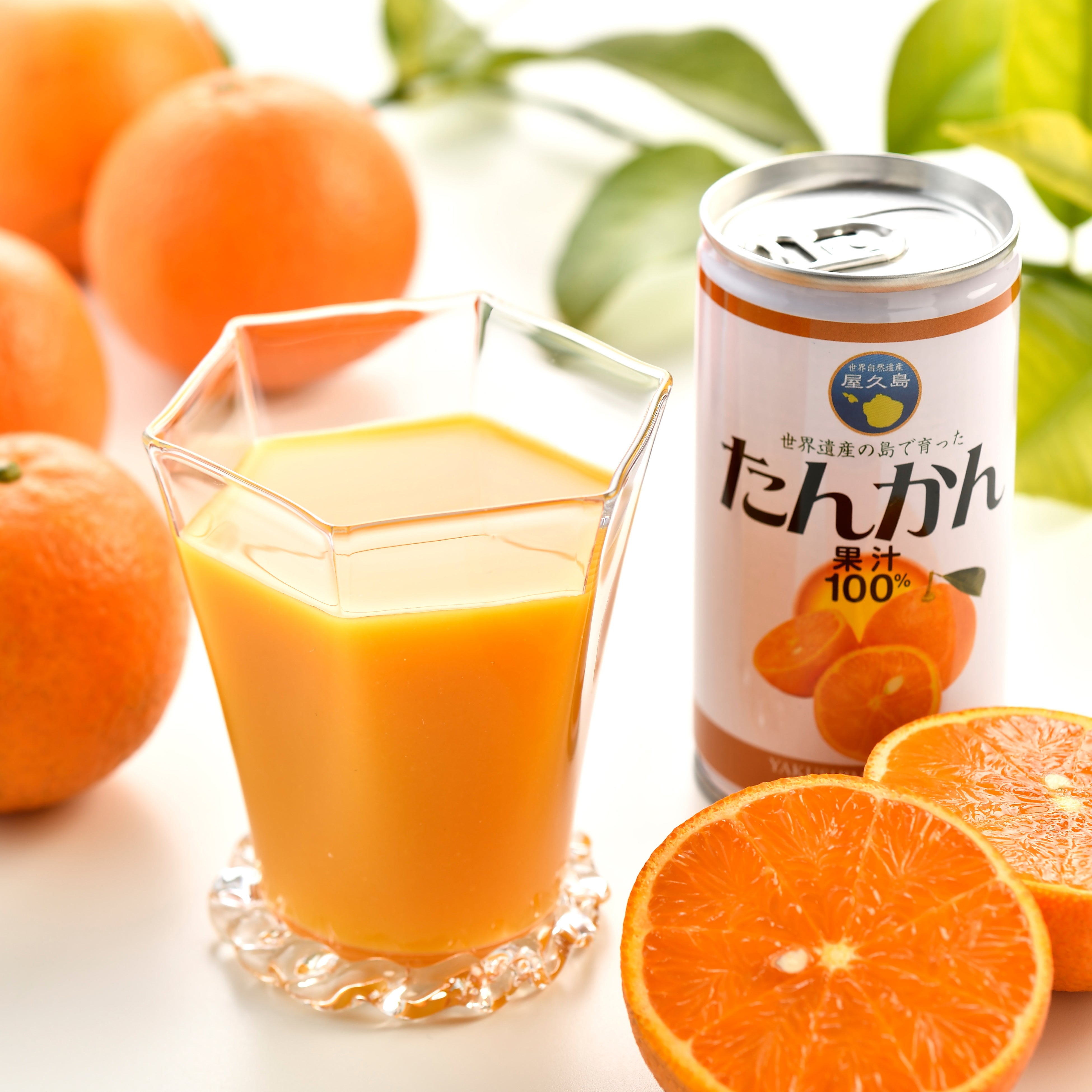 屋久島たんかんジュース 12本（ギフト箱入り）