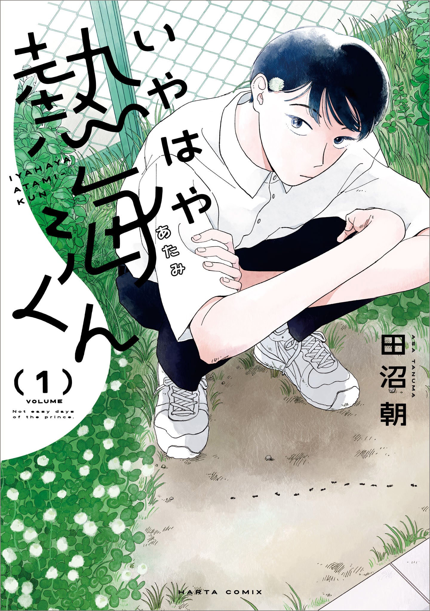 藤沢志月先生作品イラスト　額入り原画　キミのとなりで青春中。 藤沢志月先生作品イラスト 額入り原画 キミのとなりで青春中。 好