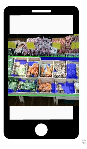 ※画像はイメージです