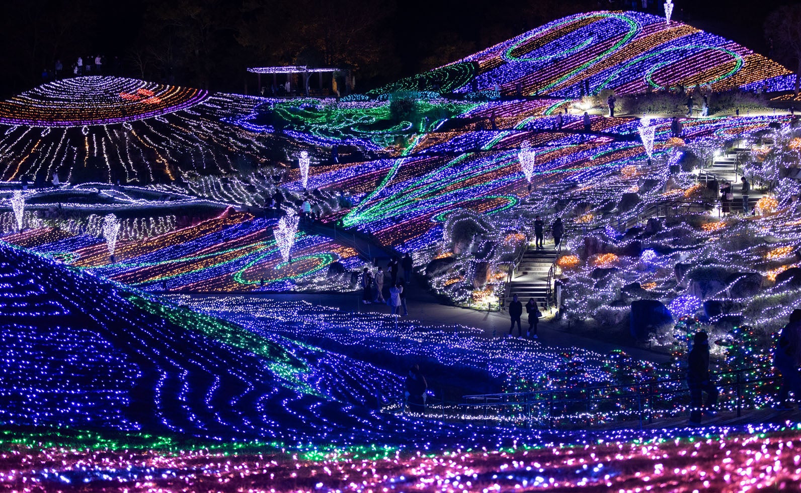 まんのう公園イルミネーション「ウィンターファンタジー」風景