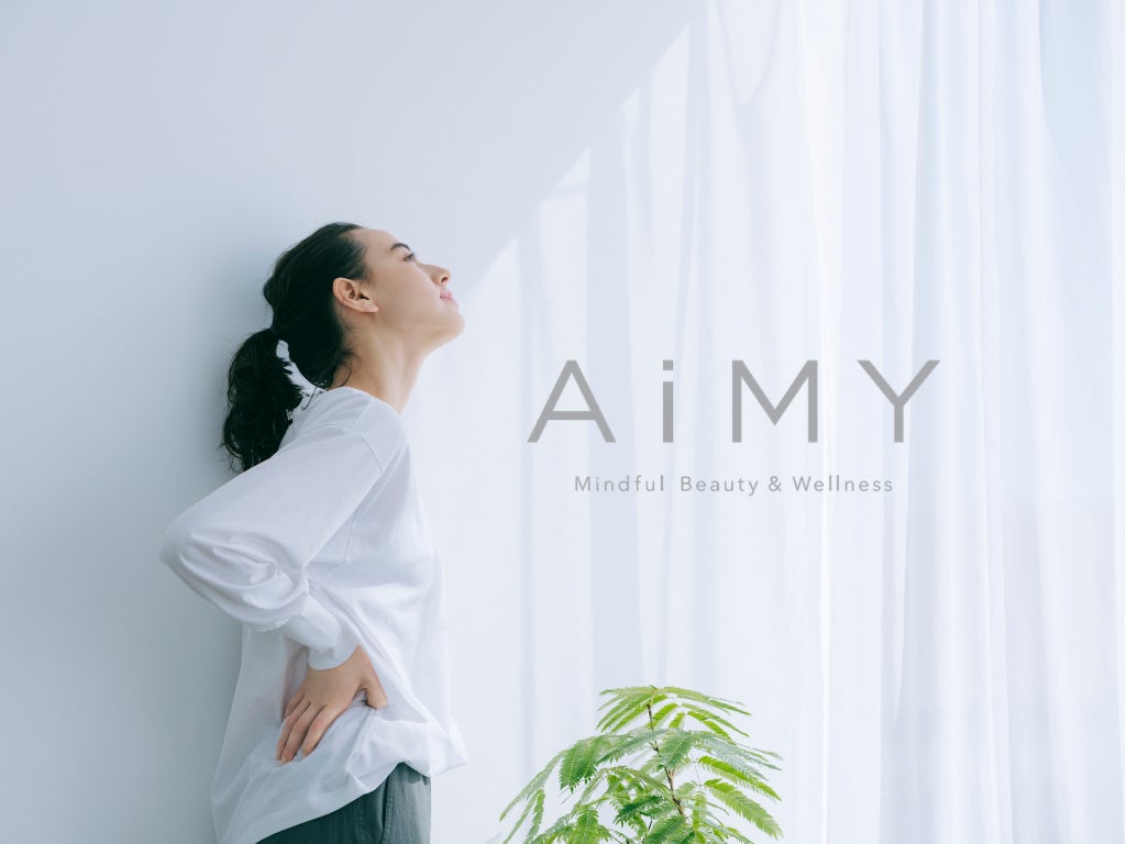 ツカモトコーポレーション、ラジオ機能も搭載した1台5役の「AiMY コードレス ソーラーファン」を発売|AIM-SF02とAIM-SF03の製品仕様(12枚目)