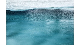 髙﨑 紗弥香  「巡礼 #19 ／ JUNREI #19」