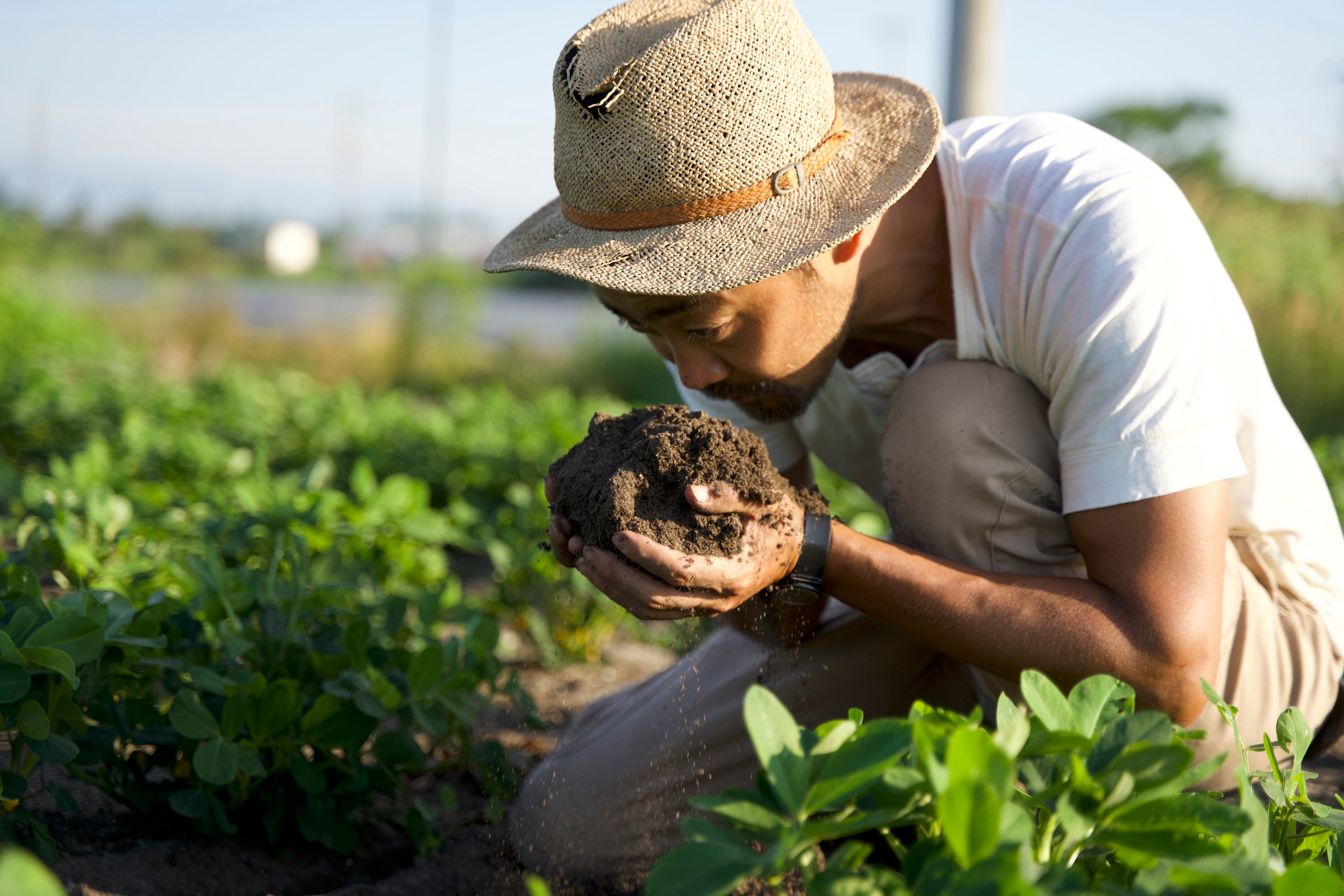 杉山ナッツ　杉山氏