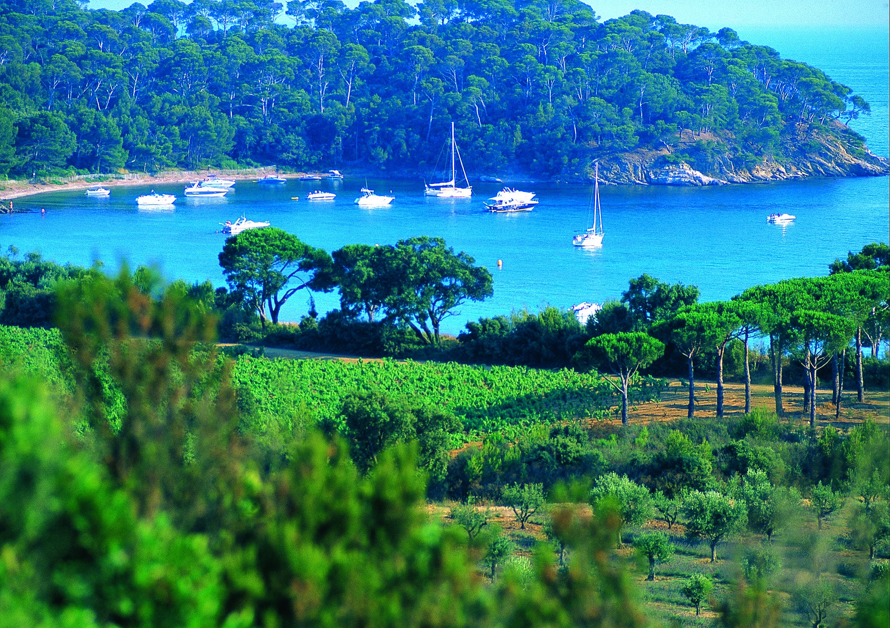 ©francoismillo.com-CIVP