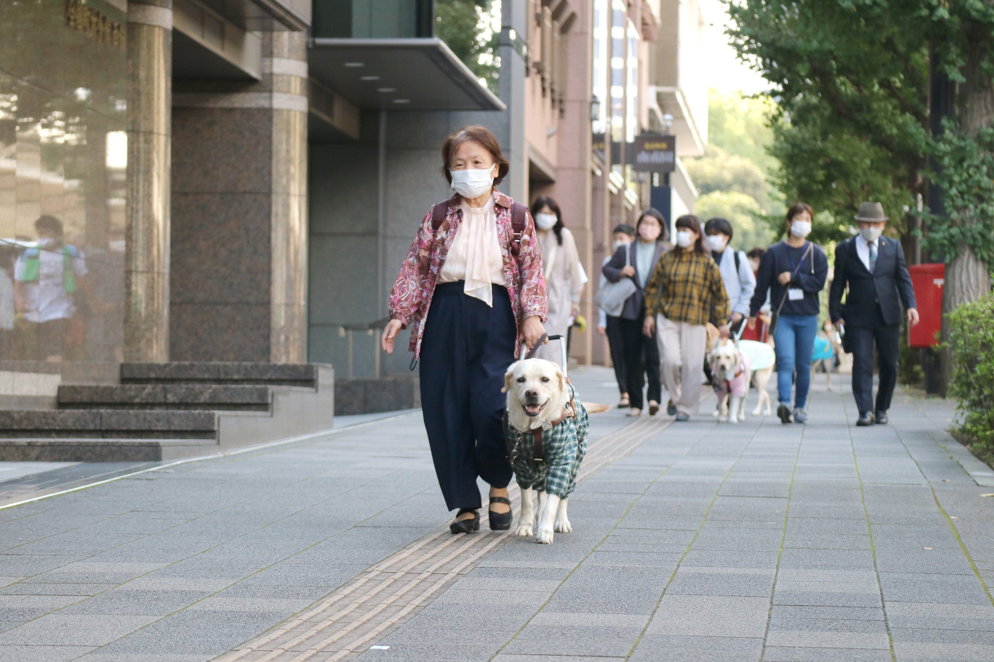 単独歩行で会場へ向かうアイメイト使用者