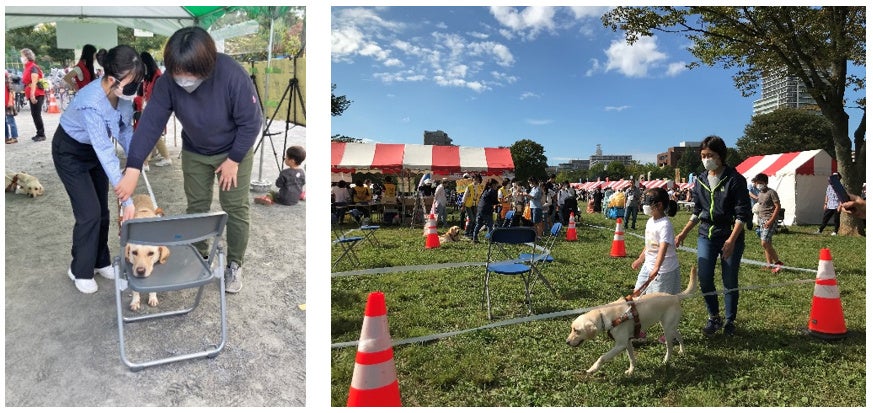 アイメイト体験歩行（イメージ）