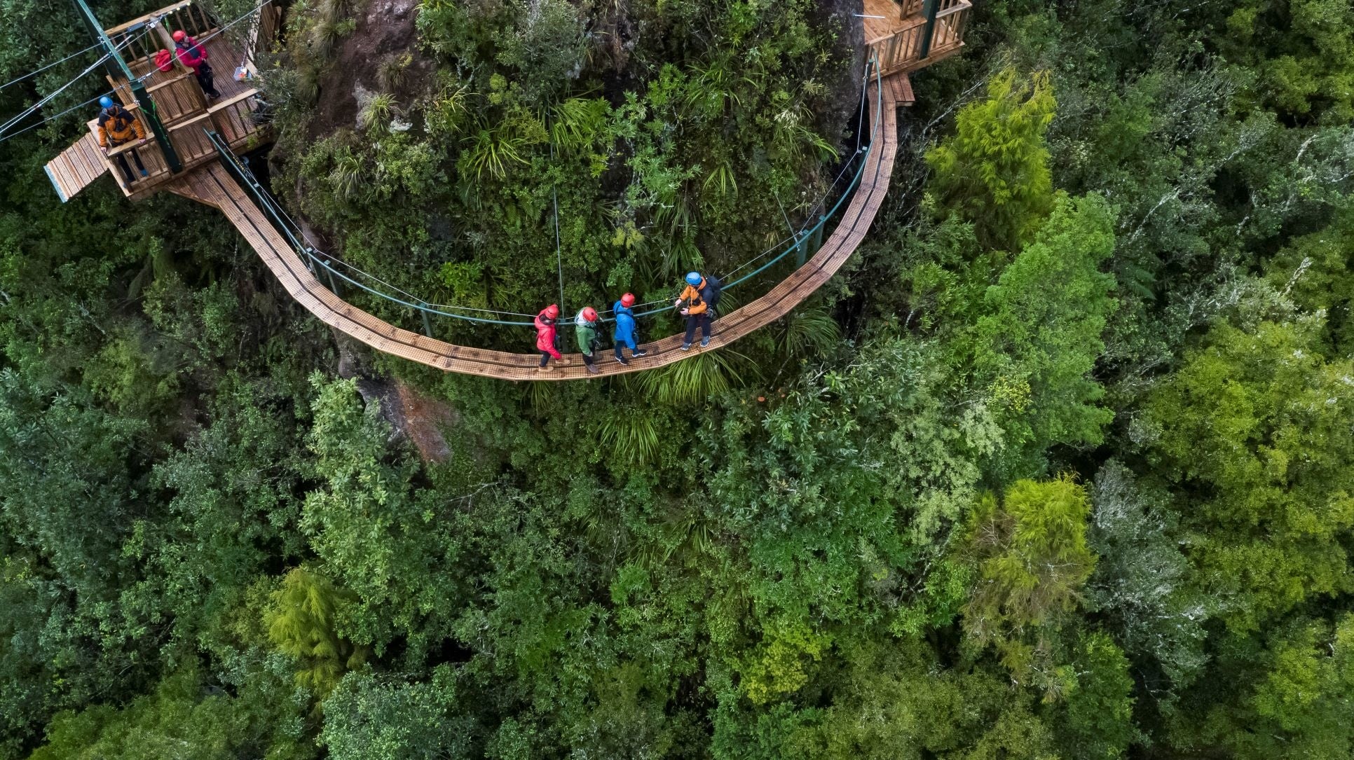 原生林でジップラインも体験できるキャノピーツアー ©Canopy Tours 