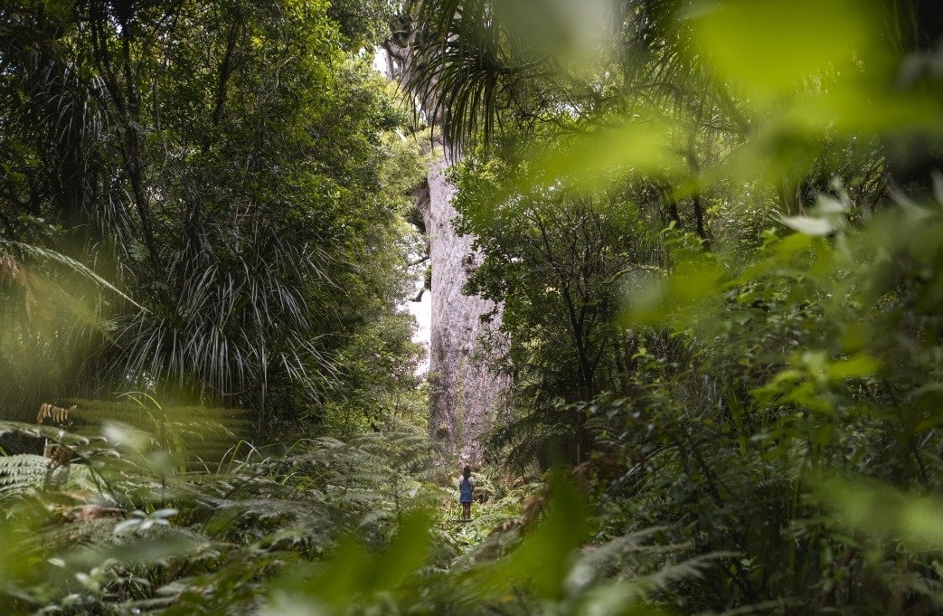 日本のラグビー界を代表する姫野和樹選手と、伝説のラガーマン