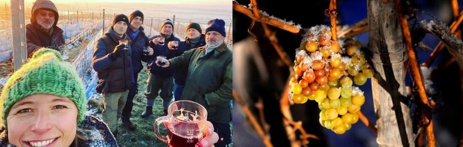 　写真左©Elisabeth Born