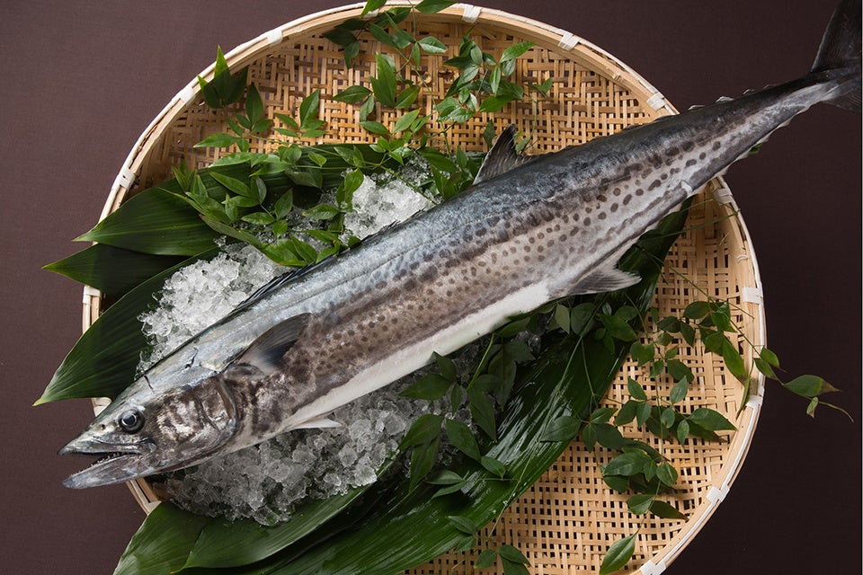 糸島産特鮮本鰆　提供：福岡県